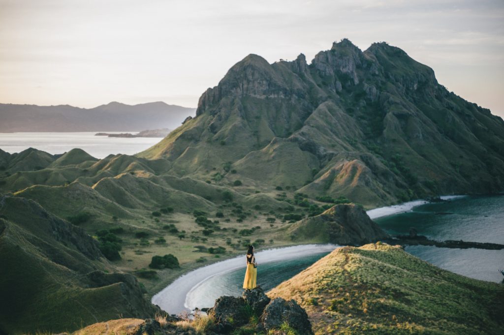 Tall sharp mountains in the distance, past an inlet