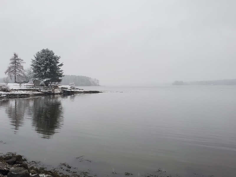 grey fog over flat calm water with trees at the mid-left