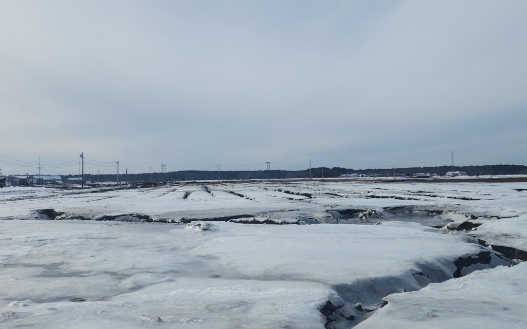A pale blue-gray landscape of cracked sheet ice over lumpy bog with a greyish sky over everything.