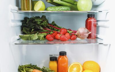 Empty Fridges of my Past